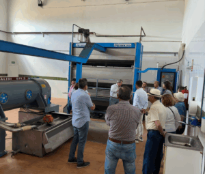 Foto trabajo cooperativa